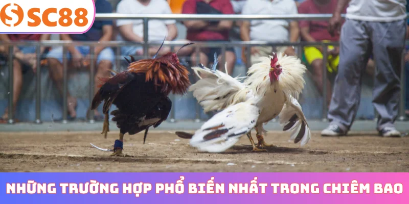 Những trường hợp phổ biến nhất trong chiêm bao